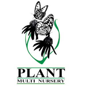 Plant Multi Nursery Pty Ltd