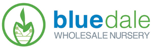 Bluedale Wholesale Nursery