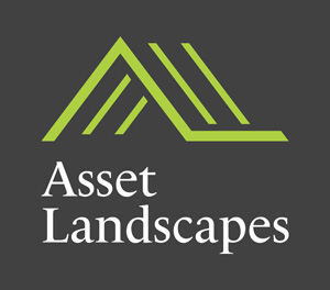 Asset Landscapes