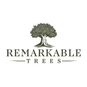 Remarkable Trees