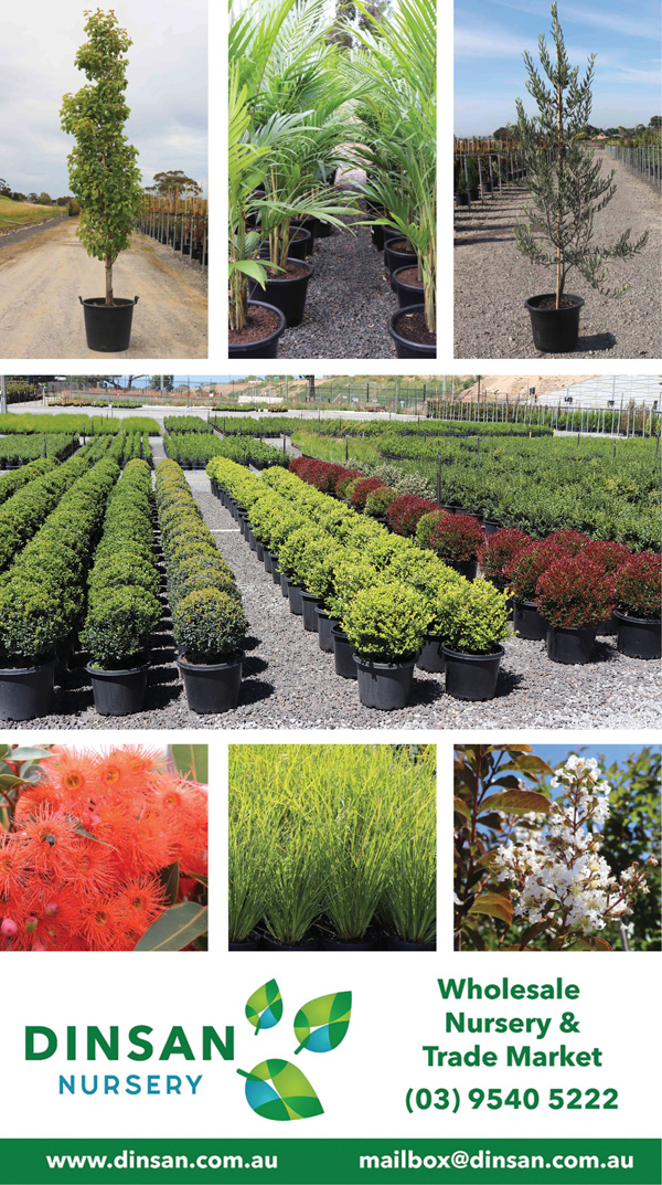 WHOLESALE NURSERY