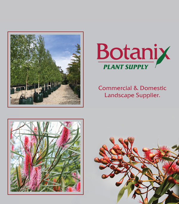 WHOLESALE PRODUCTION NURSERY