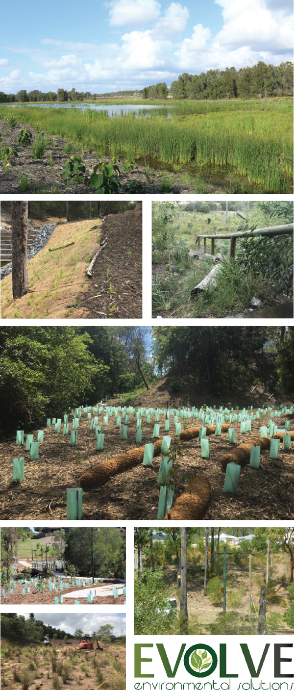 REVEGETATION AND LAND REHABILITATION SPECIALISTS