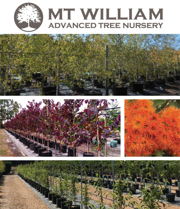 GROWERS AND SUPPLIERS OF QUALITY ADVANCED TREES AND SHRUBS