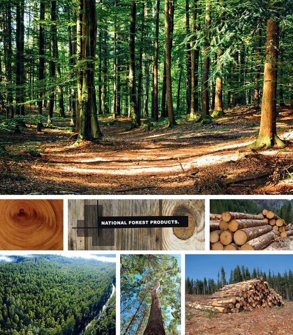 SUSTAINABLE TIMBER AND DECKING SUPPLIER
