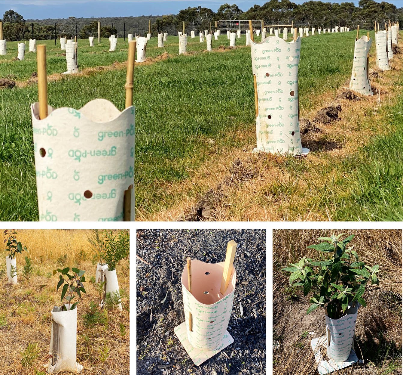 HORTICULTURAL, REVEGETATION, EROSION CONTROL AND SAFETY FENCING SOLUTIONS