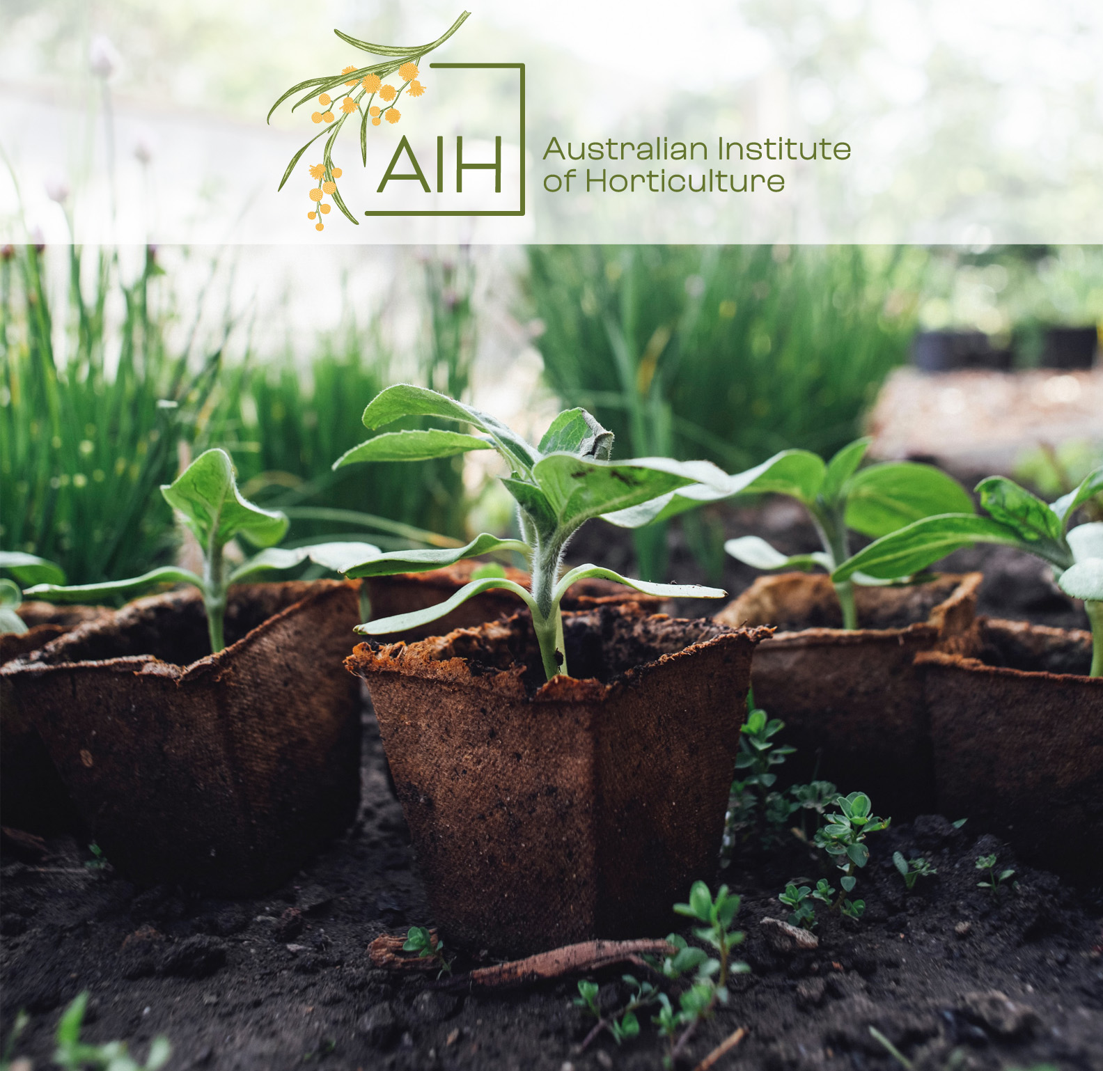 Australian Institute of Horticulture Inc (AIH)