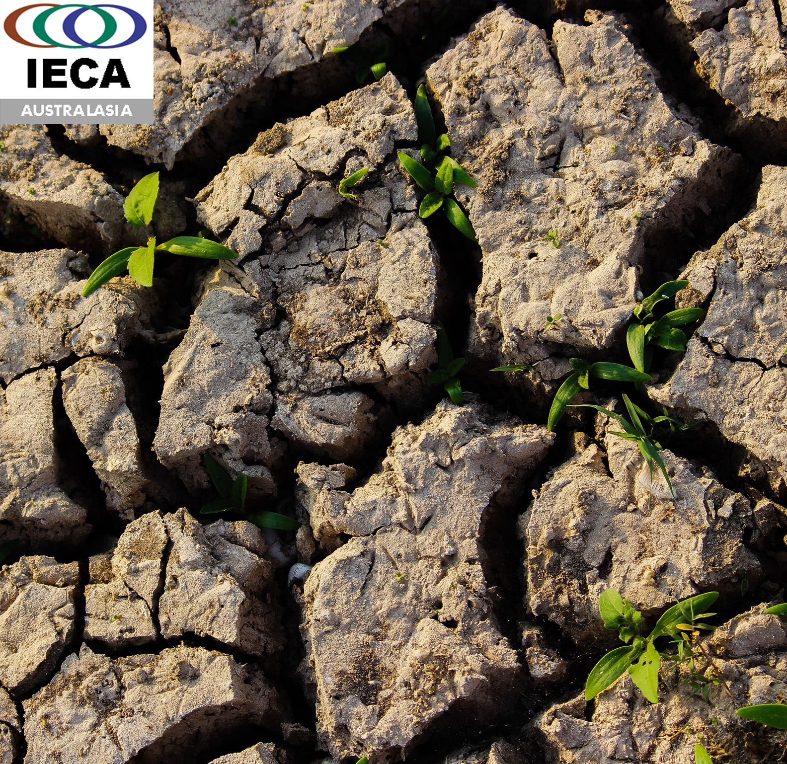 International Erosion Control Association (IECA)