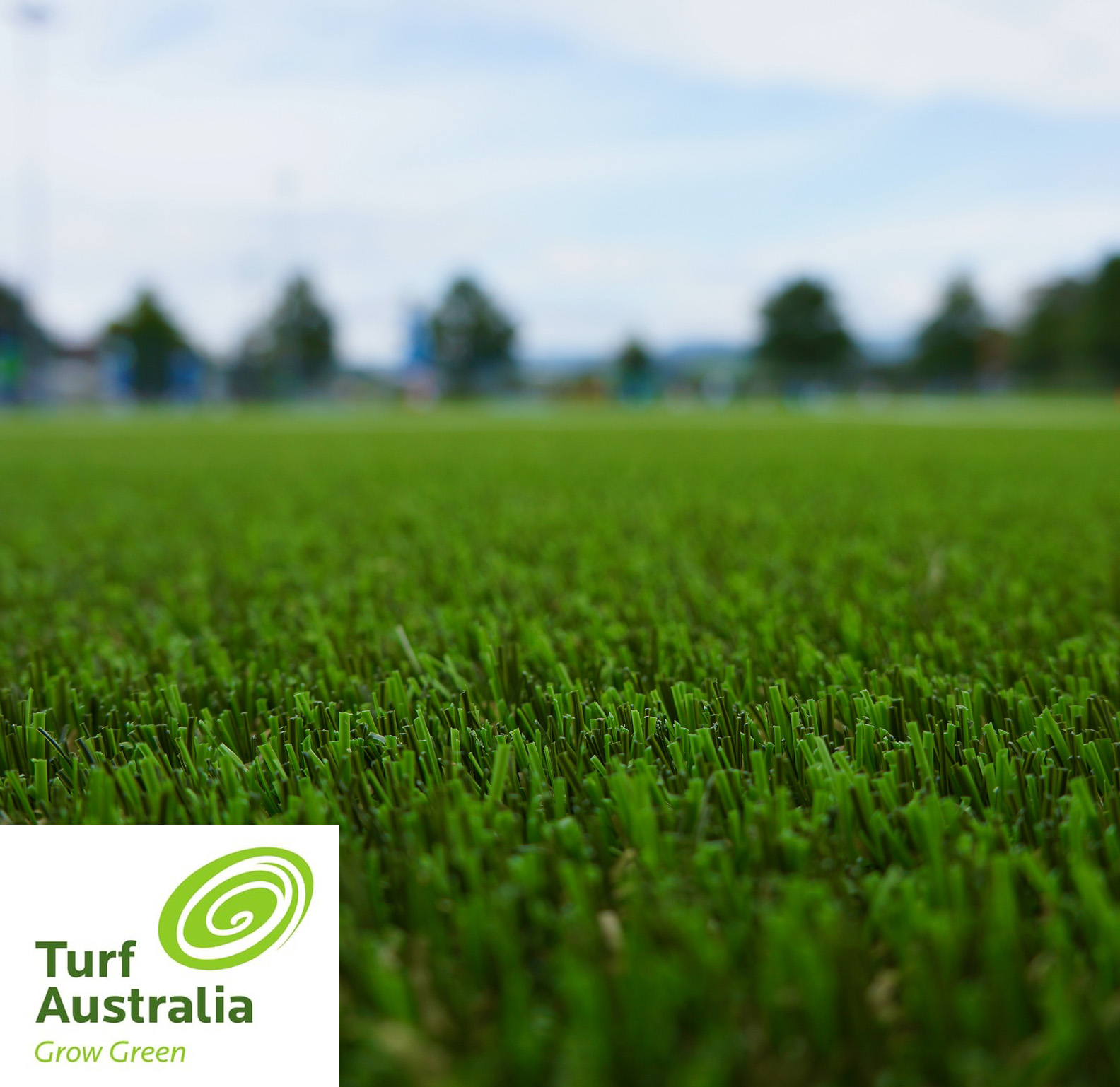 Turf Australia