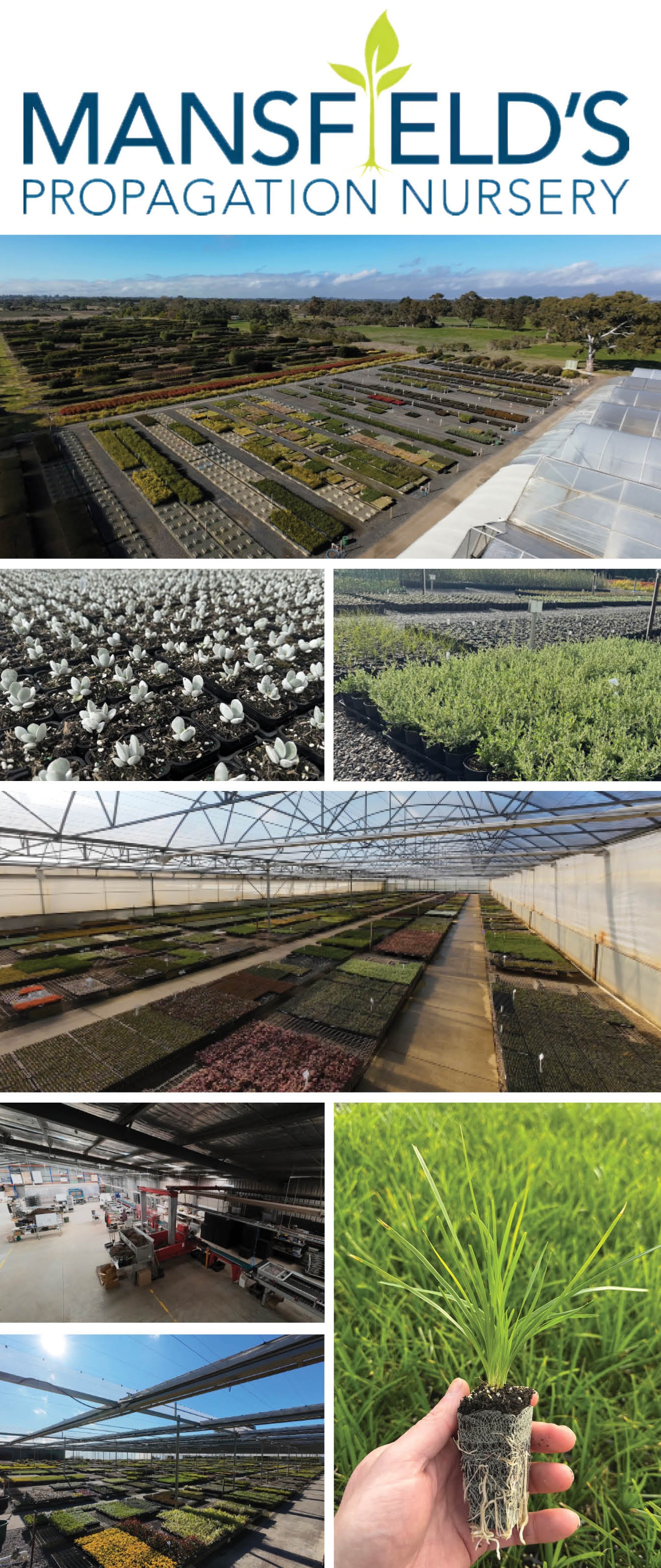 WHOLESALE NURSERY SPECIALISING IN PROPAGATION