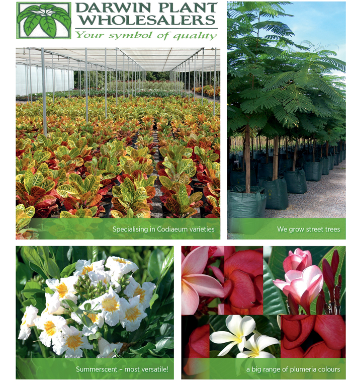 WHOLESALE NURSERY