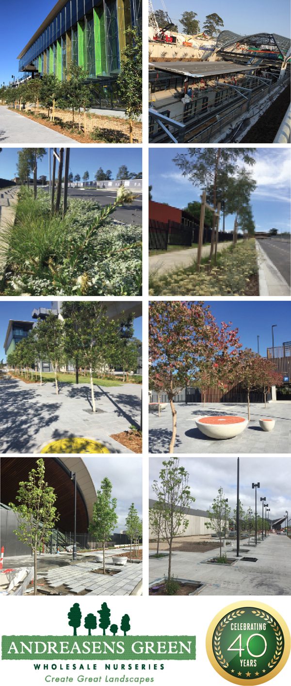 EMPOWERING THE LANDSCAPING INDUSTRY TO CREATE GREAT LANDSCAPES