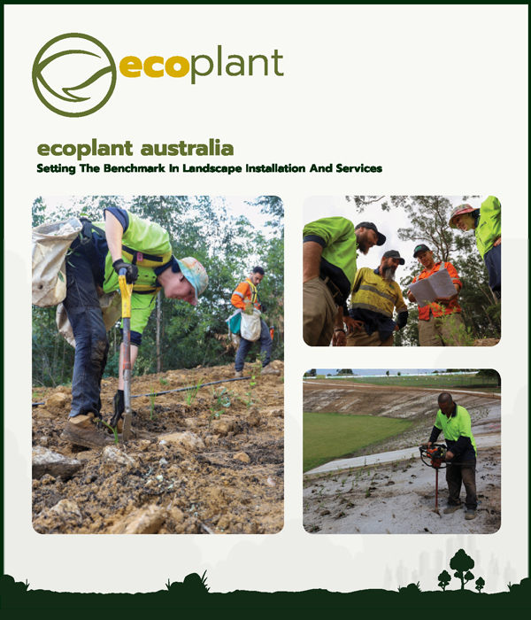 SETTING THE BENCHMARK IN LANDSCAPE INSTALLATION AND SERVICES