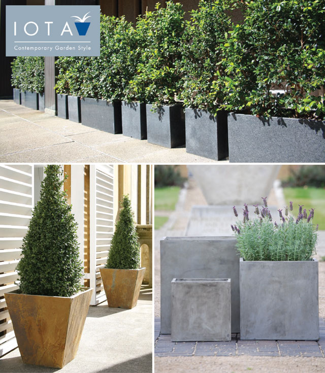 DESIGNER PLANTERS