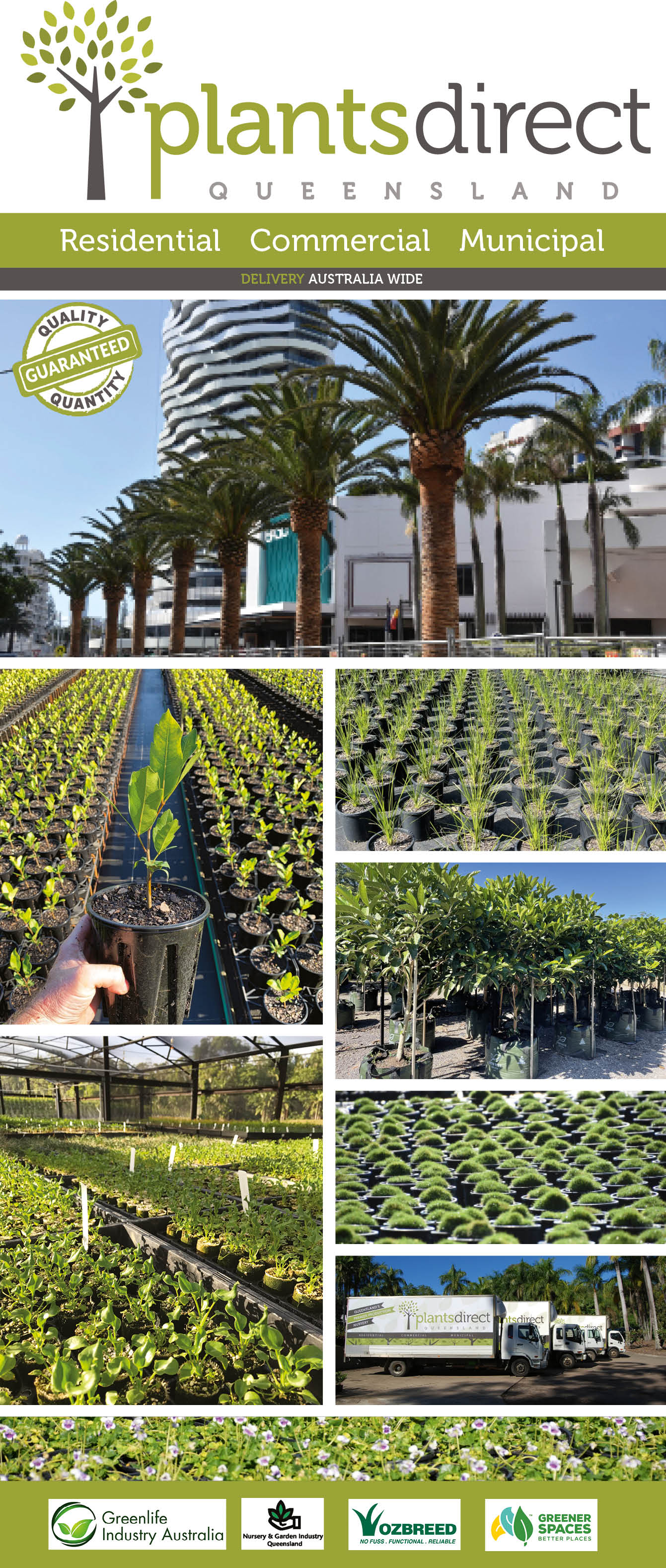 WHOLESALE NURSERY