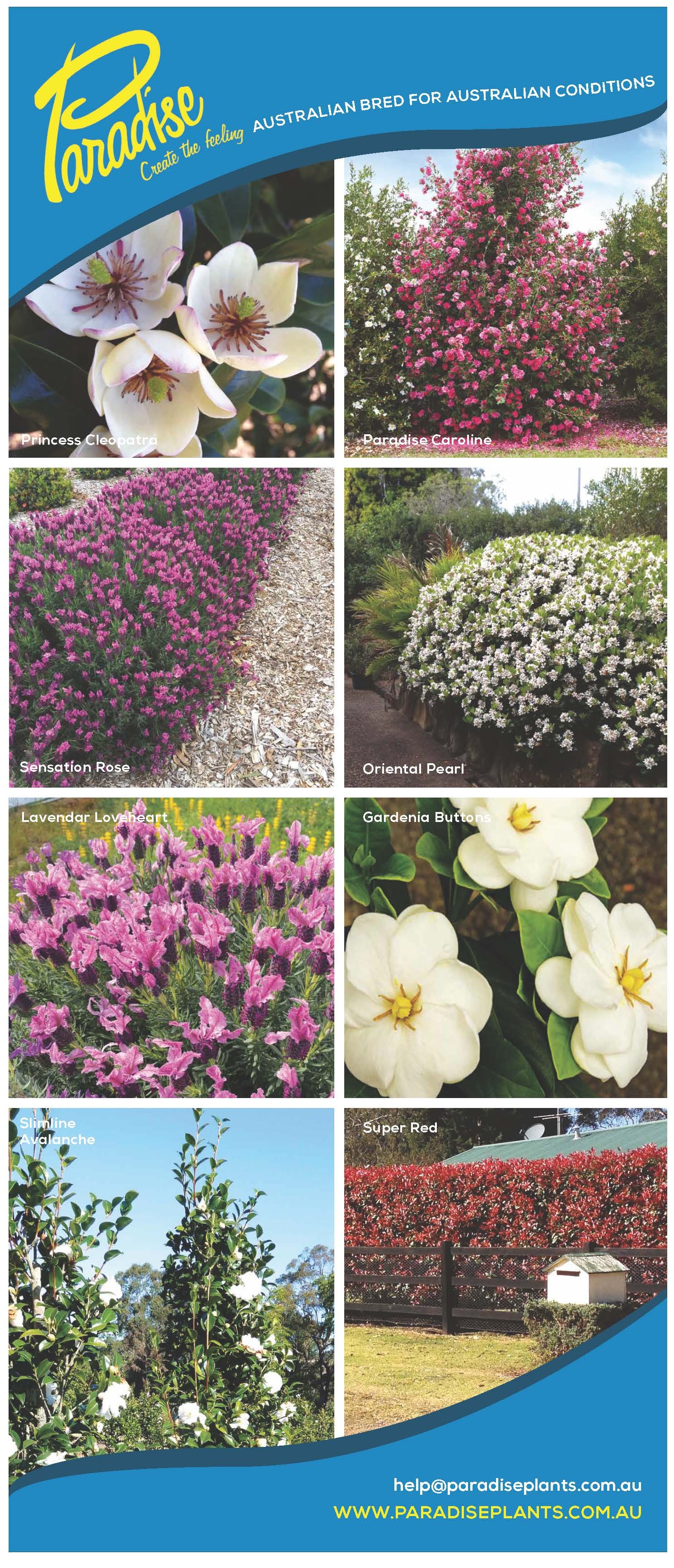 EASY-CARE PLANTS FOR AUSTRALIAN GARDENS