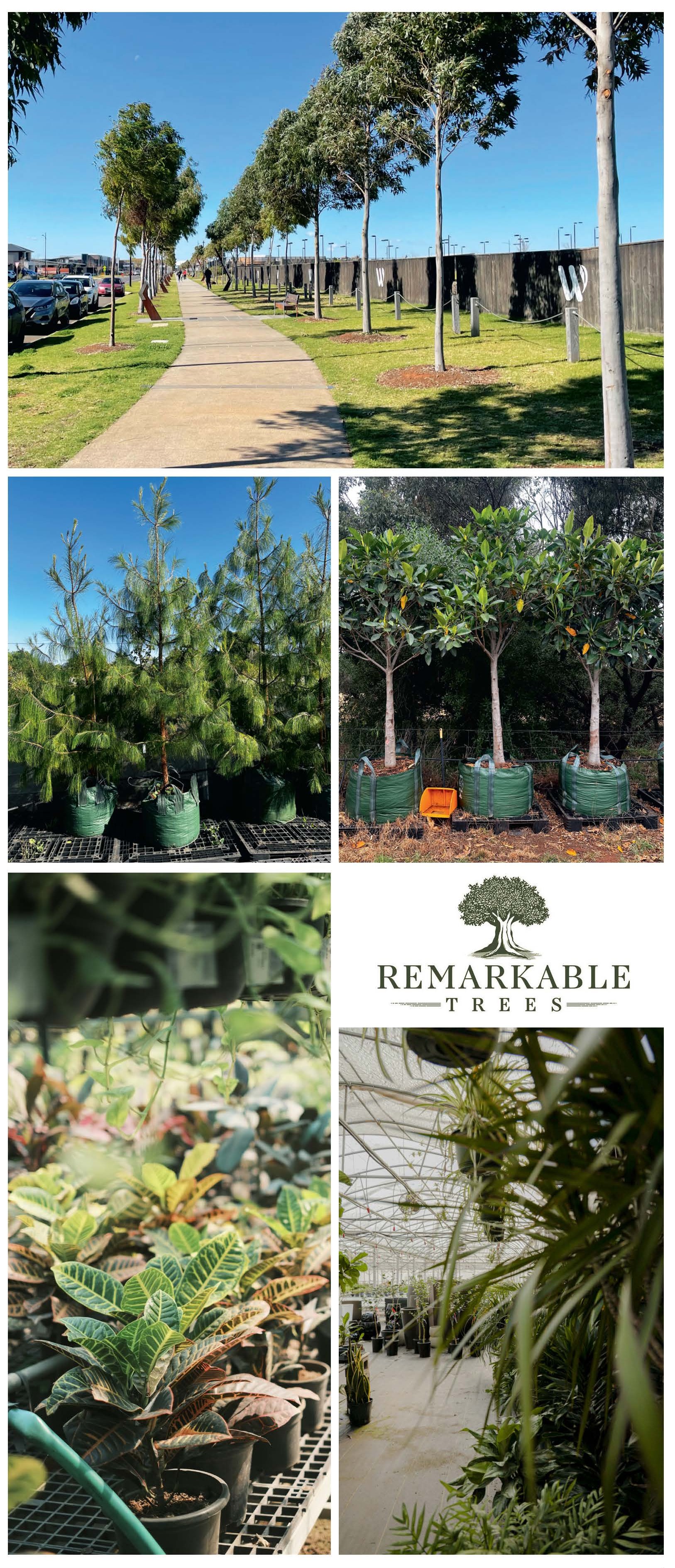 EXPERTS IN HORTICULTURE
