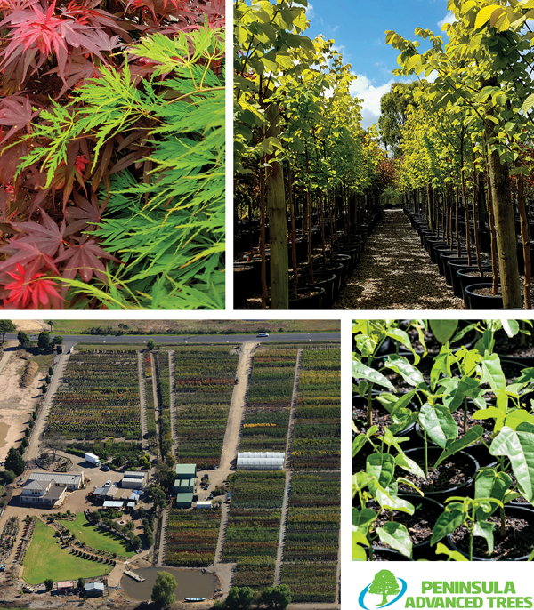 WHOLESALE PRODUCTION NURSERY