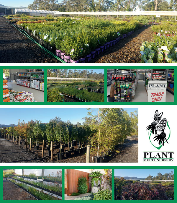 WHOLESALE NURSERY TRADE MARKET