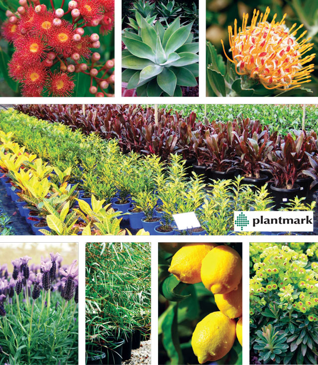 WHOLESALE NURSERY AND LANDSCAPE SUPPLIES