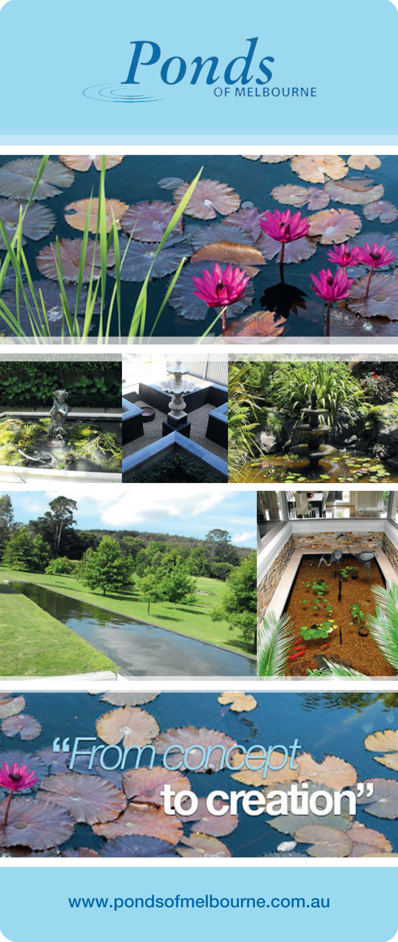 Ponds, Water Features and Fountains Specialist