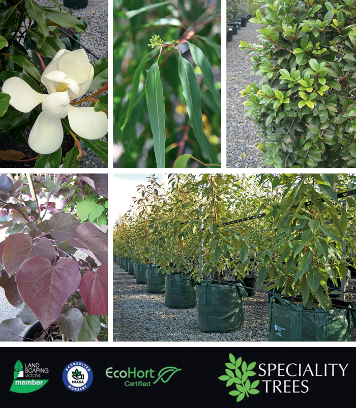 ADVANCED TREE NURSERY