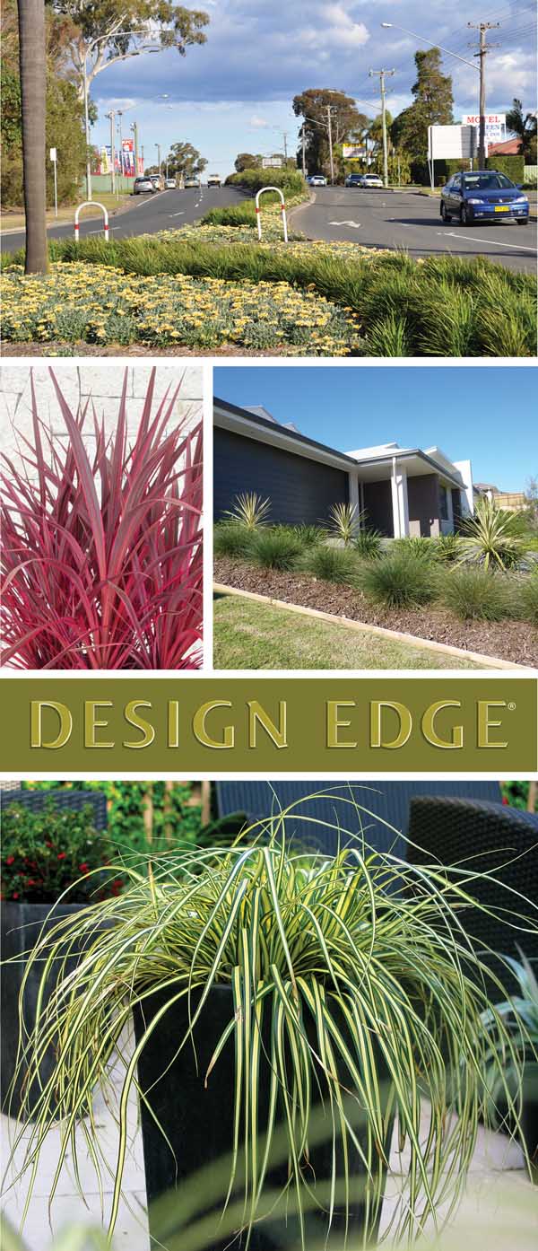 BULK SUPPLIER OF LANDSCAPE STARTER PLANTS