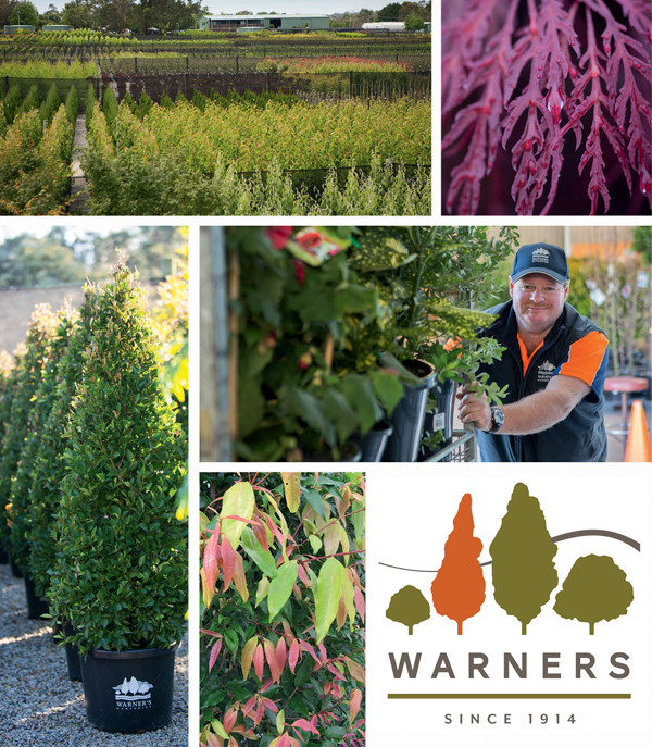 WHOLESALE NURSERY