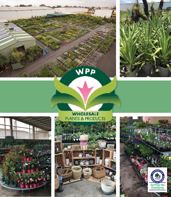 WHOLESALE NURSERY AND TRADE MARKET