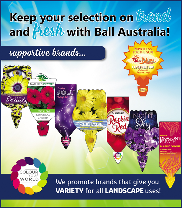 WHOLESALE PRODUCTION NURSERY AND SEED SUPPLIER