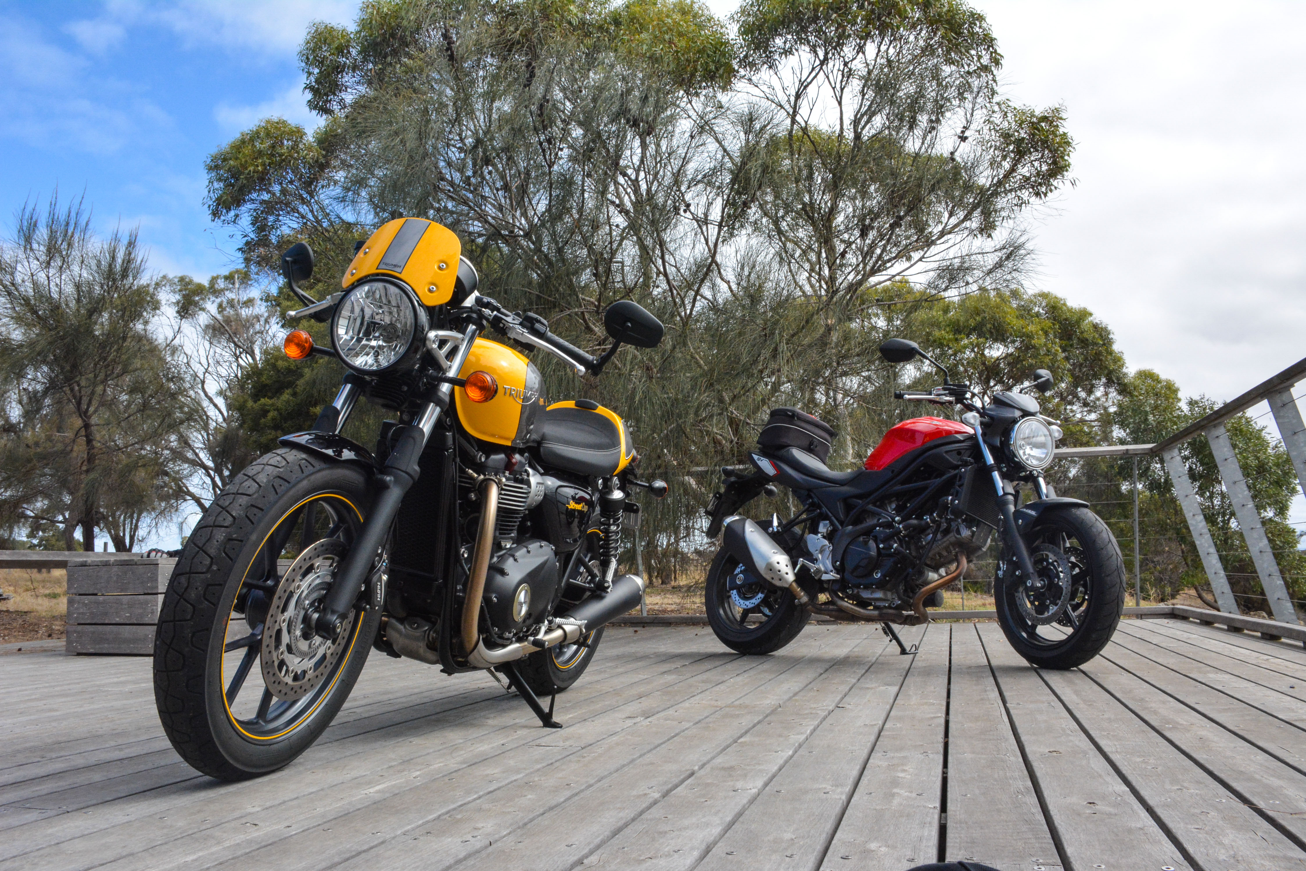 Long term test: Suzuki SV650 and Triumph Street Cup