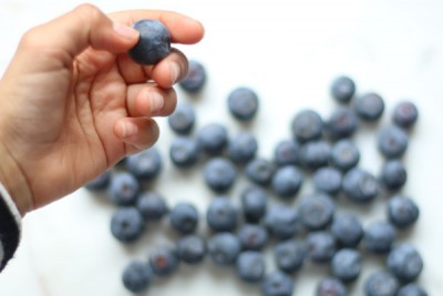 Your guide to weighing up weight loss diets