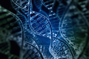 Heart_attack_genes_web
