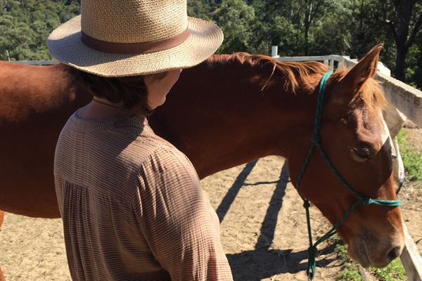 What is equine assisted therapy or EAT?