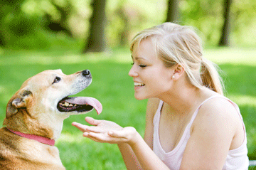 Dogs_communicate_web