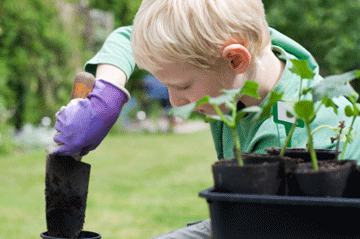 School_gardens_web