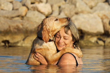 Dogs_attention_ageing_web