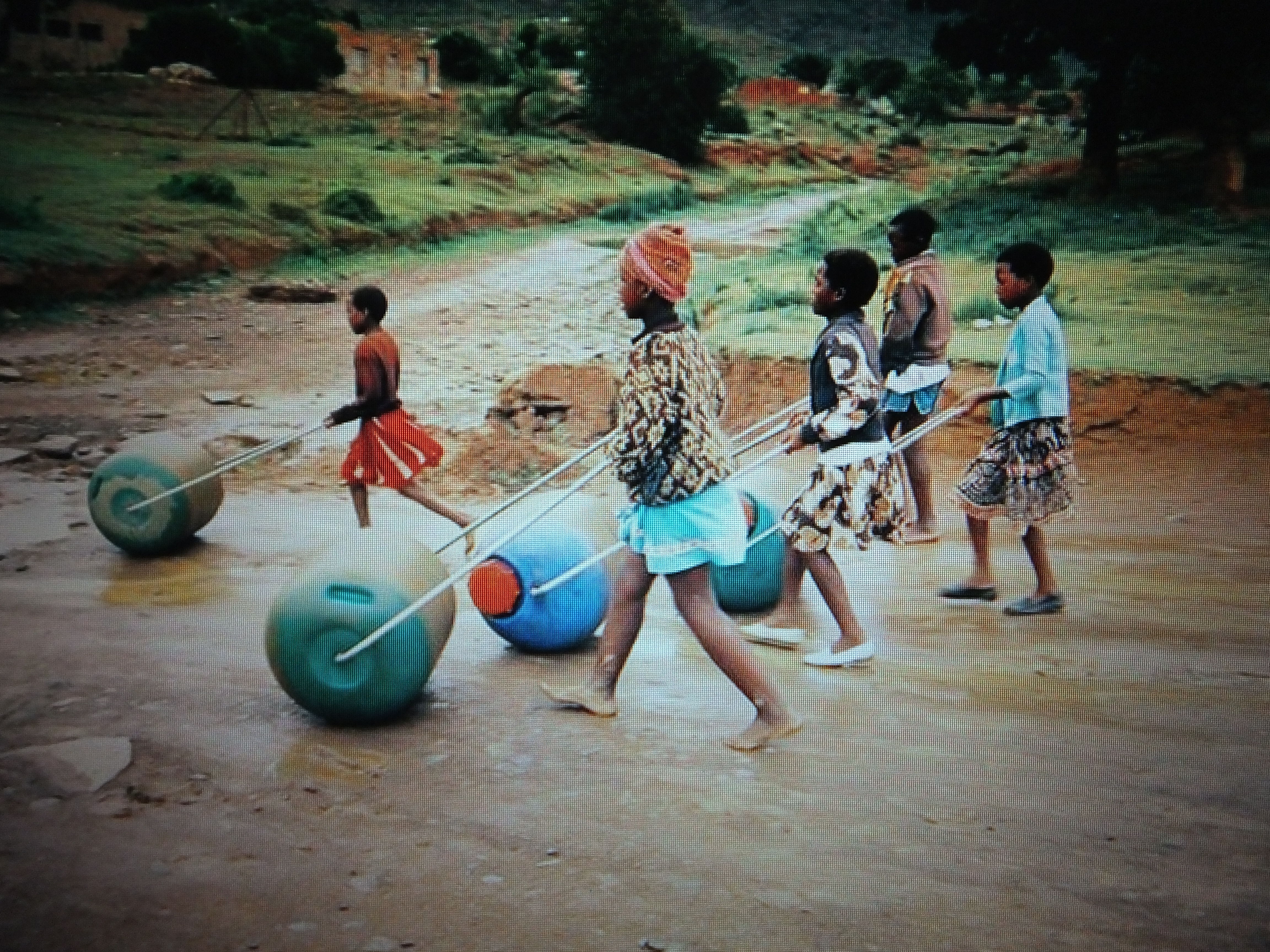 Hippo Water Rollers