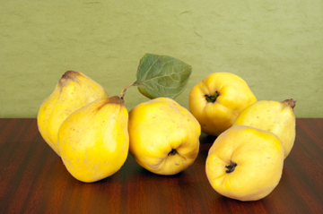 quince_wellbeingcomau