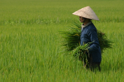 vietnam_retreats_travel_wellbeingcomau