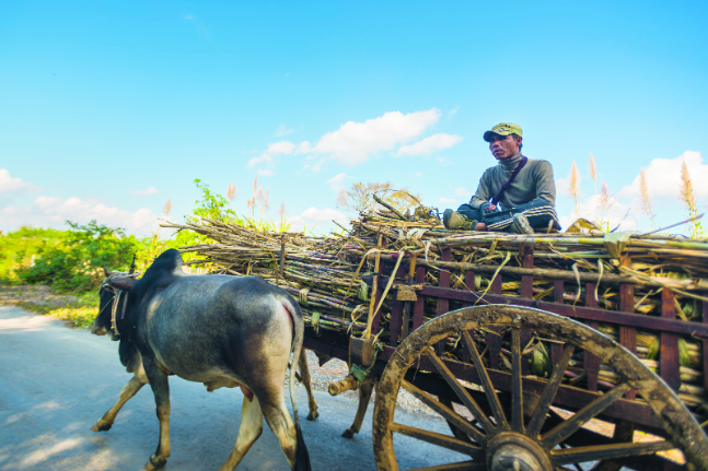 Keeping pace en route to Maing Thauk