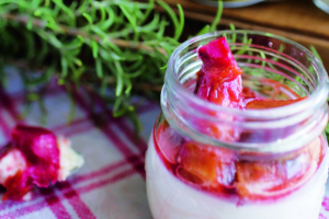 Camel Milk Pudding