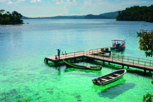 Discover wild Sumatra
