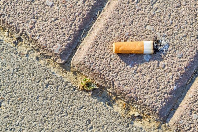 cigarette butts