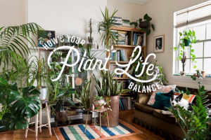 Plant Life Balance