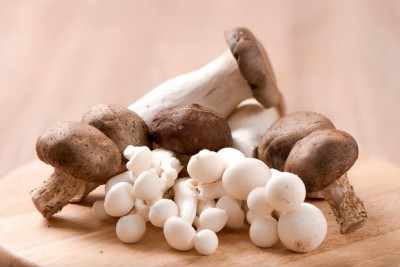 variety of mushrooms on a board