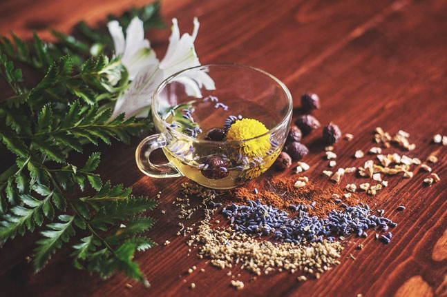 20 powerful herbs to use in your daily life for a full-body detox