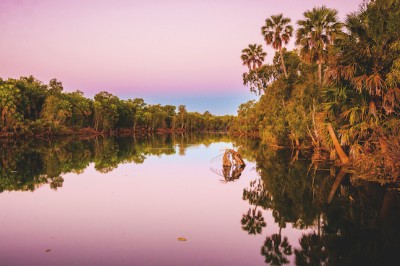 Blissed out at Bitter Springs in Mataranka, Northern Territory