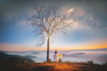 Wellbeing & Eatwell Cover Image 1001x667 2024 12 18t134445.246