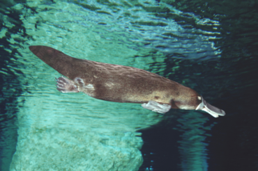 Wellbeing & Eatwell Cover Image 1001x667 2025 01 14t111646.019